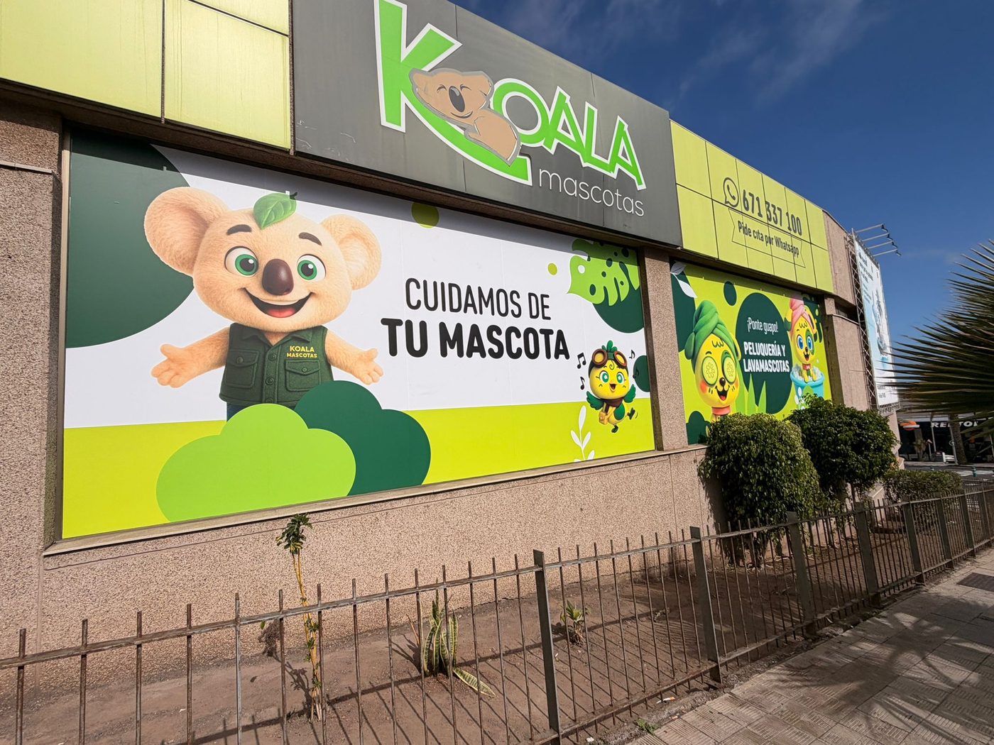 Koala Mascotas — rótulo de fachada y vinilos de ALFA Rótulos